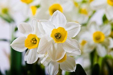 《拳皇15》新预告片 二次B测八大角色超杀展示